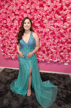 Load image into Gallery viewer, Arista Hire